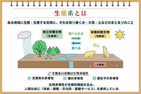 風水 環境学|風水思想と自然科学 : 特に生態学の観点から